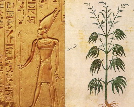 History Of Cannabis Medicine Use