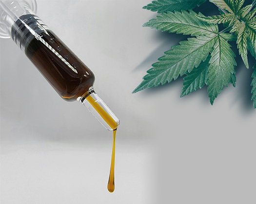 cannabis oil thc dosage feco rso full extract